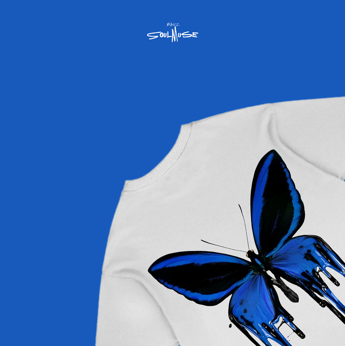 Butterfly Collection